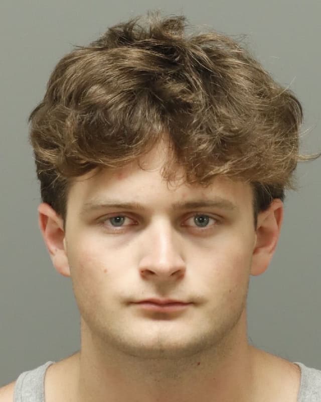 LUKE HOLDEN TERRENTS mugshot