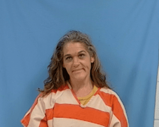 Lori Lee Ritchie mugshot