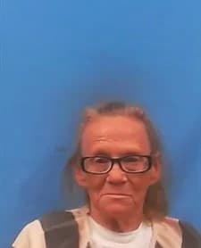 Vickie Lynn Baskin mugshot