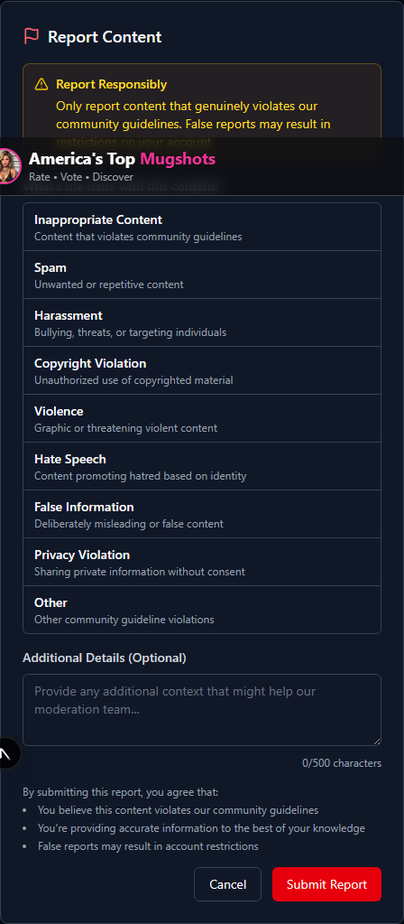 Report dialog showing the False Information option selected